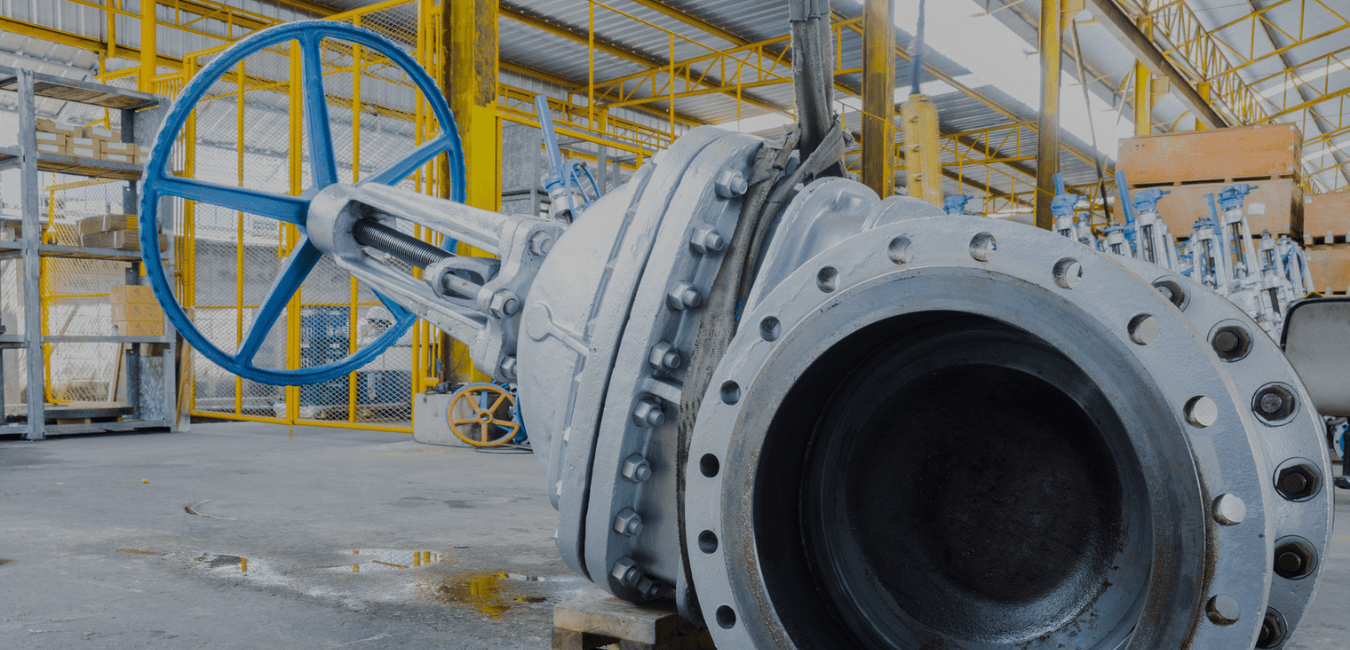 Instrumentation, valve and process control system solution